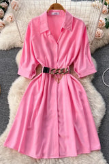 Elegant Dress Vintage Turn-down Collar Casual A-line Shirt Dress