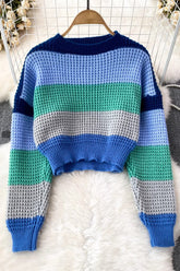 Multicolor Long Sleeve Crop Top Sweater