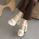 Diva-Worthy Metallic Platform Heels