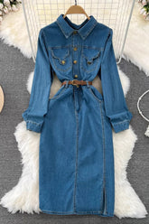 Long Sleeve Buttons Denim Maxi Dress