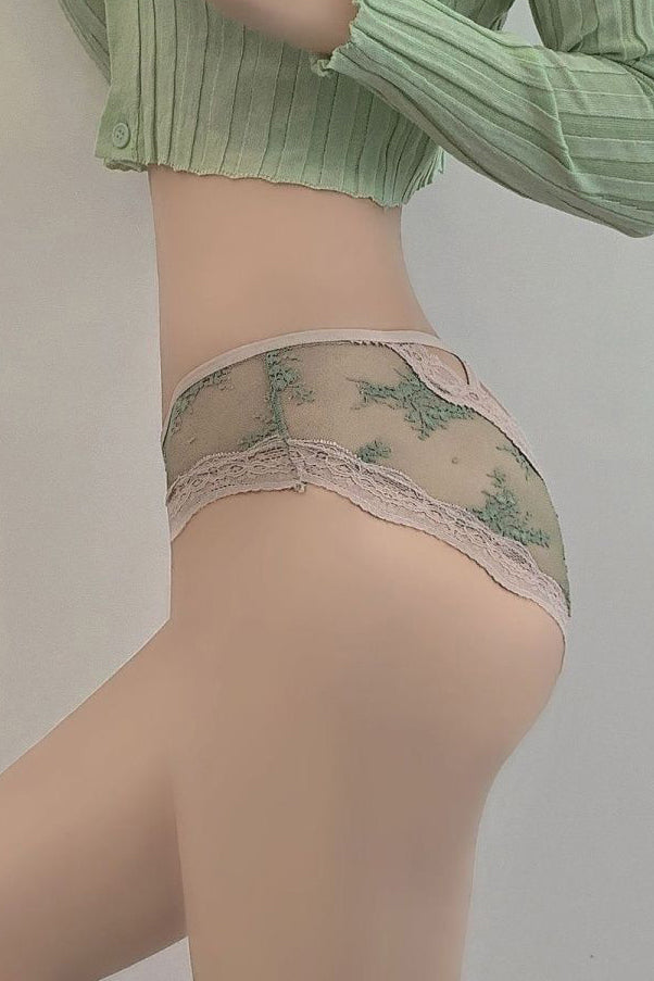 Lace Gauze Underpant Brief Panty