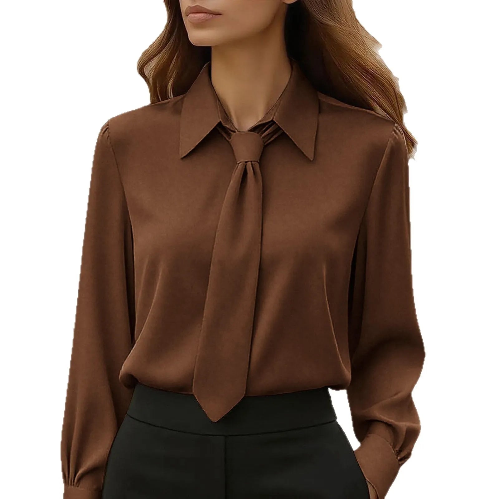 Lapel Tie Neck Solid Soft Satin Long Sleeve Commuter Blouse