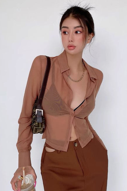 Thin Perspective Mesh Long Sleeve Shirt