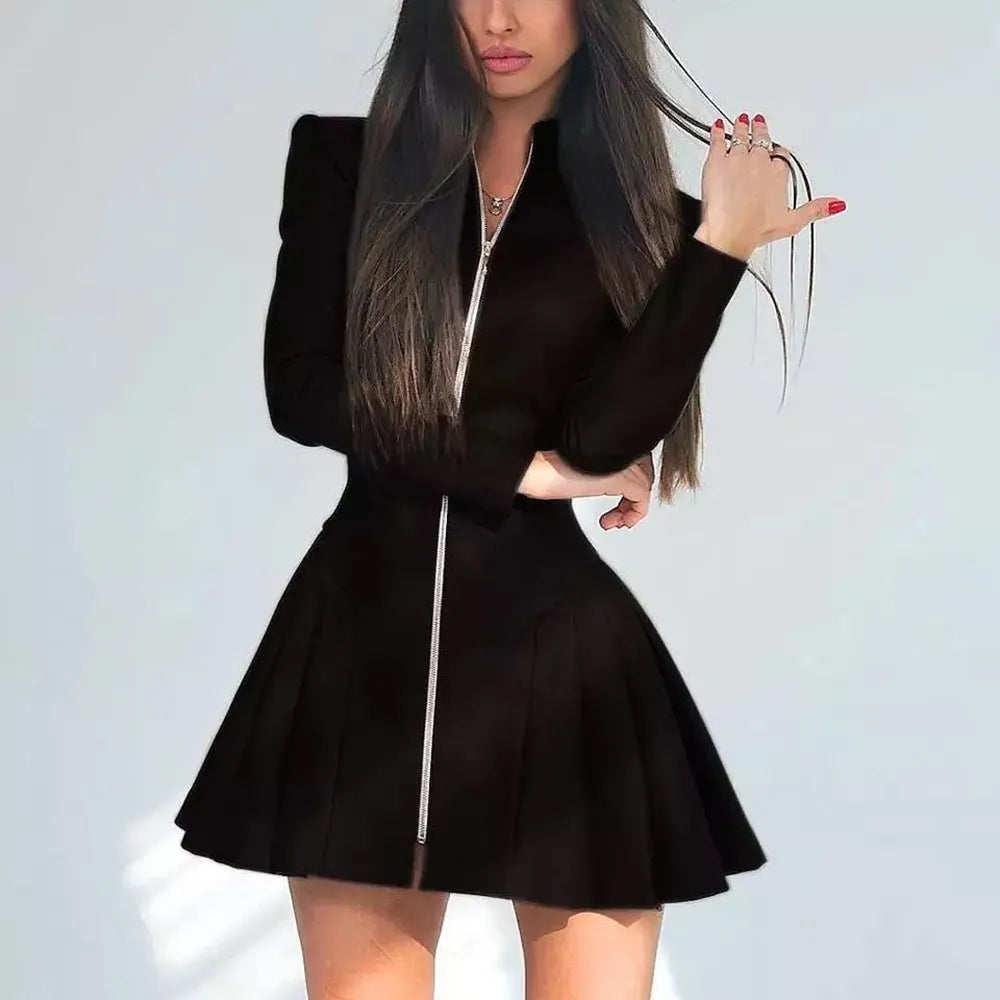 Stand Collar A-Line Pleated Mini Dress