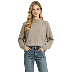 Semi Turtleneck Solid Color Knit Pullover Sweater