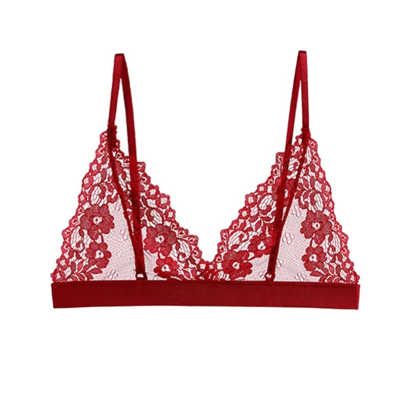 Classic Transparent Bra Lace Temptation Underwear