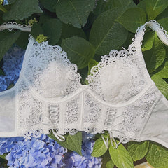 French Classic Bra Embroidered Lace Underwear
