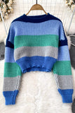 Multicolor Long Sleeve Crop Top Sweater