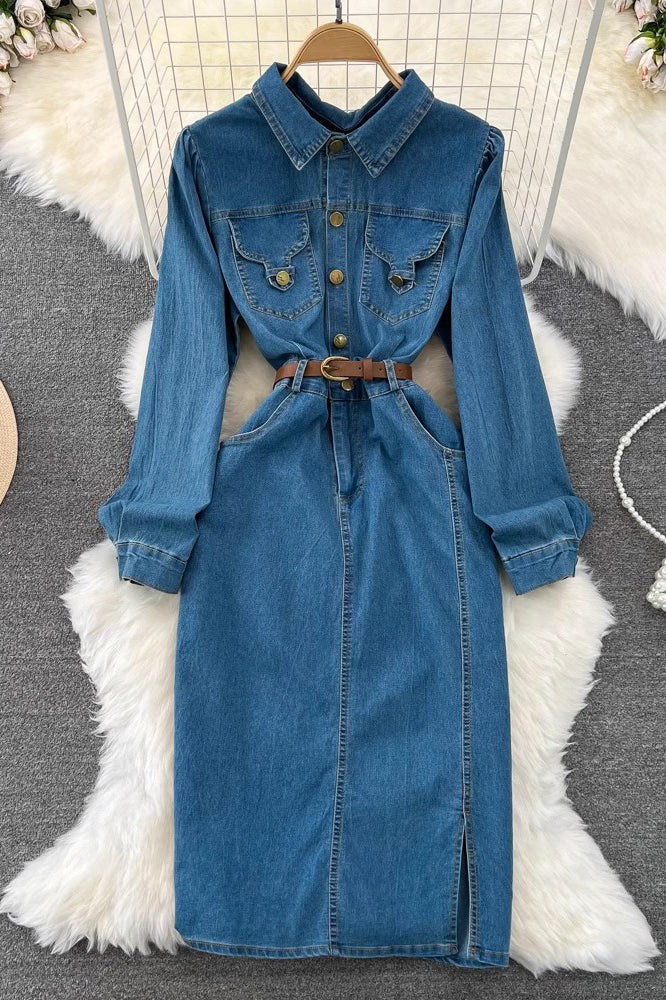 Long Sleeve Buttons Denim Maxi Dress