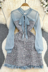 Gauze Long Sleeve Lace Mini Dress
