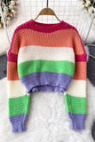 Multicolor Long Sleeve Crop Top Sweater