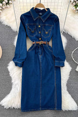 Long Sleeve Buttons Denim Maxi Dress