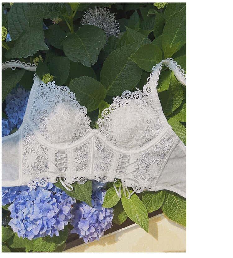 French Classic Bra Embroidered Lace Underwear
