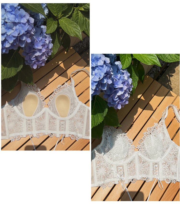 French Classic Bra Embroidered Lace Underwear