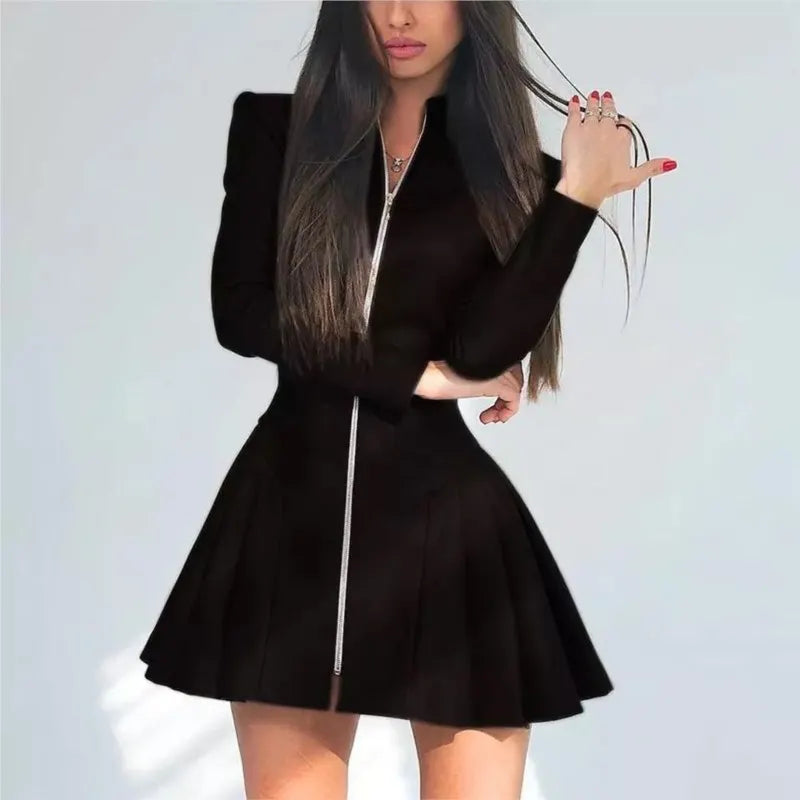Stand Collar A-Line Pleated Mini Dress