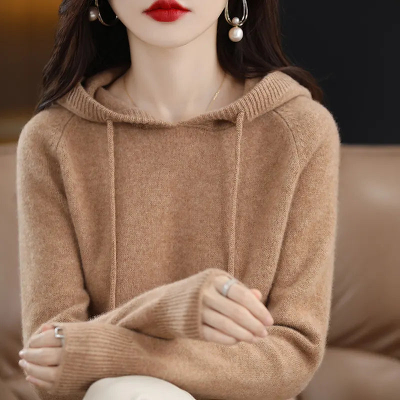 Hooded Knit Pullover Sweater