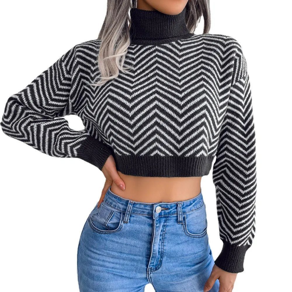 Turtleneck Chevron Striped Cropped Sweater
