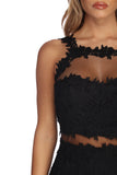 All Meshed With Lace Mini Dress